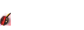 K�fer
